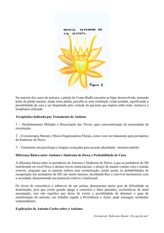 Na maioria dos casos de autismo, a pétala do Corpo Budhi encontra-se hiper desenvolvida, tomando
parte da pétala nuclear, ainda nesta pétala, percebe-se uma irradiação verde-azulada, significando a
possibilidade de cura a ser despertada pela vontade do paciente que impera sobre tudo, inclusive a
terapêutica utilizada.
Terapêutica Indicada par Tratamento de Autistas
1º
- Desdobramento Múltiplo e Dissociação dos Níveis, para conscientização da necessidade da
encarnação.
2º
- Cromoterapia Mental e Micro-Organizadores Florais, como visto no tratamento para portadores
da Síndrome de Down.
3º
- Tratamento em psicologia e terapias avançadas para acessar adualidade - homem-espírito.
Diferença Básica entre Autismo e Síndrome de Down e Probabilidade de Cura
A diferança básica entre os portadores de Autismo e Síndrome de Down, é que os portadores de SD
manifestam em nível físico e demais níveis conscienciais, o desejo de manter contato com o mundo
exterior, enquanto que os autistas inibem essa comunicação, sendo assim, as probabilidades de
recuperação dos portadores da SD, são muito maiores, facultando-lhes o convívio harmonioso com
a sociedade, demonstrando seu potencial criativo e intelectual.
Os nívies de consciência e subníveis de um autista, demonstram maior grau de dificuldade na
doutrinação, pois que existe grande apego a conceitos e fatos passados, excluindo-se da atual
encarnação, isso não significa que deixe de existir a possibilidade de diminuir o grau de
manifestação do autismo, um trabalho regado a Persistência e Amor, pode conseguir resultados
surpreendentes.
Explicações de Antonio Carlos sobre o Autismo
Extraído de: Deficiente Mental - Por que fui um?
 