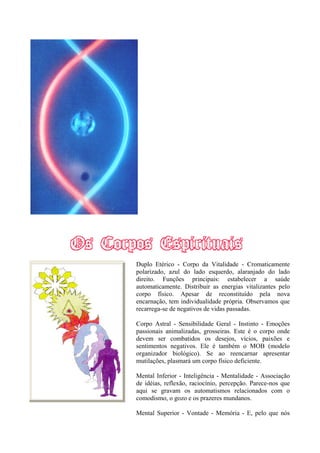 Duplo Etérico - Corpo da Vitalidade - Cromaticamente
polarizado, azul do lado esquerdo, alaranjado do lado
direito. Funções principais: estabelecer a saúde
automaticamente. Distribuir as energias vitalizantes pelo
corpo físico. Apesar de reconstituído pela nova
encarnação, tem individualidade própria. Observamos que
recarrega-se de negativos de vidas passadas.
Corpo Astral - Sensibilidade Geral - Instinto - Emoções
passionais animalizadas, grosseiras. Este é o corpo onde
devem ser combatidos os desejos, vícios, paixões e
sentimentos negativos. Ele é também o MOB (modelo
organizador biológico). Se ao reencarnar apresentar
mutilações, plasmará um corpo físico deficiente.
Mental Inferior - Inteligência - Mentalidade - Associação
de idéias, reflexão, raciocínio, percepção. Parece-nos que
aqui se gravam os automatismos relacionados com o
comodismo, o gozo e os prazeres mundanos.
Mental Superior - Vontade - Memória - E, pelo que nós
 