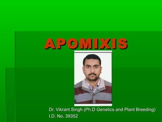APOMIXISAPOMIXIS
Dr. Vikrant Singh (Ph.D Genetics and Plant Breeding)Dr. Vikrant Singh (Ph.D Genetics and Plant Breeding)
I.D. No. 39352I.D. No. 39352
 