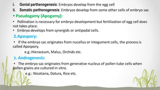 Apomixis | PPTX