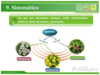 9. Sistemático
                       Ya que sus elementos siempre están relacionados
                       entre sí, tiene un orden y jerarquía.
                 .
                                        apomixis


                .




                                                          COMPUESTAS
                       POÁCEAS



                                          ROSÁCEAS
www.themegallery.com
 