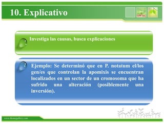 10. Explicativo

                       Investiga las causas, busca explicaciones
                 .


                .      Ejemplo: Se determinó que en P. notatum el/los
                       gen/es que controlan la apomixis se encuentran
                       localizados en un sector de un cromosoma que ha
                       sufrido una alteración (posiblemente una
                       inversión).




www.themegallery.com
 