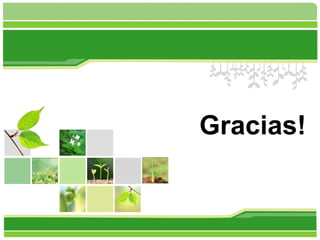 L/O/G/O




          Gracias!
 