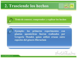2. Trasciende los hechos


                 . Trata de conocer, comprender y explicar los hechos


                .      Ejemplo: los primeros experimentos con
                       plantas apomícticas fueron realizados por
                       Gregorio Mendel, quien utilizó cruzas entre
                       especies del género Hieracium




www.themegallery.com
 