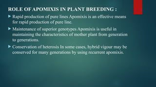 APOMIXIS AND ITS TYPES.pptxApomixis is a form of asexual reproduction ...