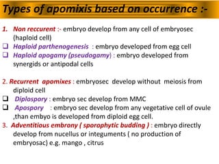 Types of apomixis based on occurrence :-
1. Non reccurent :- embryo develop from any cell of embryosec
(haploid cell)
 Haploid parthenogenesis : embryo developed from egg cell
 Haploid apogamy (pseudogamy) : embryo developed from
synergids or antipodal cells
2. Recurrent apomixes : embryosec develop without meiosis from
diploid cell
 Diplospory : embryo sec develop from MMC
 Apospory : embryo sec develop from any vegetative cell of ovule
,than embyo is developed from diploid egg cell.
3. Adventitious embrony ( sporophytic budding ) : embryo directly
develop from nucellus or integuments ( no production of
embryosac) e.g. mango , citrus
 