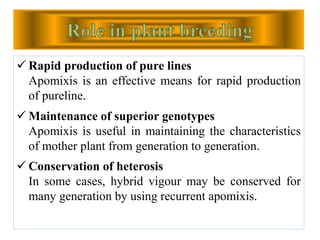  Rapid production of pure lines
Apomixis is an effective means for rapid production
of pureline.
 Maintenance of superior genotypes
Apomixis is useful in maintaining the characteristics
of mother plant from generation to generation.
 Conservation of heterosis
In some cases, hybrid vigour may be conserved for
many generation by using recurrent apomixis.
 