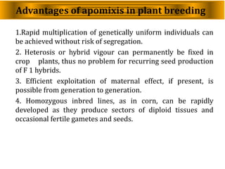 Advantages of apomixis in plant breeding
1.Rapid multiplication of genetically uniform individuals can
be achieved without risk of segregation.
2. Heterosis or hybrid vigour can permanently be fixed in
crop plants, thus no problem for recurring seed production
of F 1 hybrids.
3. Efficient exploitation of maternal effect, if present, is
possible from generation to generation.
4. Homozygous inbred lines, as in corn, can be rapidly
developed as they produce sectors of diploid tissues and
occasional fertile gametes and seeds.
 