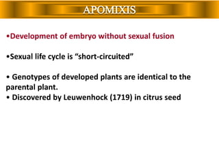 APOMIXIS
•Development of embryo without sexual fusion
•Sexual life cycle is “short-circuited”
• Genotypes of developed plants are identical to the
parental plant.
• Discovered by Leuwenhock (1719) in citrus seed
 