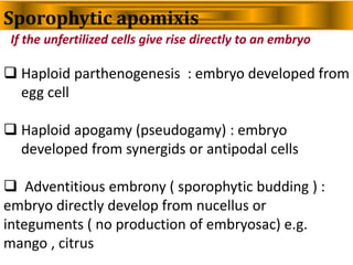 Sporophytic apomixis
If the unfertilized cells give rise directly to an embryo
 Haploid parthenogenesis : embryo developed from
egg cell
 Haploid apogamy (pseudogamy) : embryo
developed from synergids or antipodal cells
 Adventitious embrony ( sporophytic budding ) :
embryo directly develop from nucellus or
integuments ( no production of embryosac) e.g.
mango , citrus
 