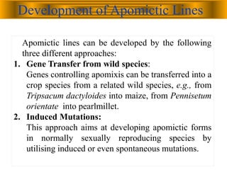 Development of Apomictic Lines
Apomictic lines can be developed by the following
three different approaches:
1. Gene Transfer from wild species:
Genes controlling apomixis can be transferred into a
crop species from a related wild species, e.g., from
Tripsacum dactyloides into maize, from Pennisetum
orientate into pearlmillet.
2. Induced Mutations:
This approach aims at developing apomictic forms
in normally sexually reproducing species by
utilising induced or even spontaneous mutations.
 