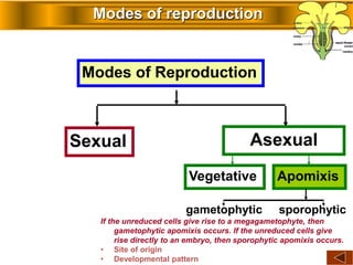 Modes of reproduction
Modes of Reproduction
Sexual Asexual
ApomixisVegetative
gametophytic sporophytic
If the unreduced cells give rise to a megagametophyte, then
gametophytic apomixis occurs. If the unreduced cells give
rise directly to an embryo, then sporophytic apomixis occurs.
• Site of origin
• Developmental patternContact Disclaimer
 