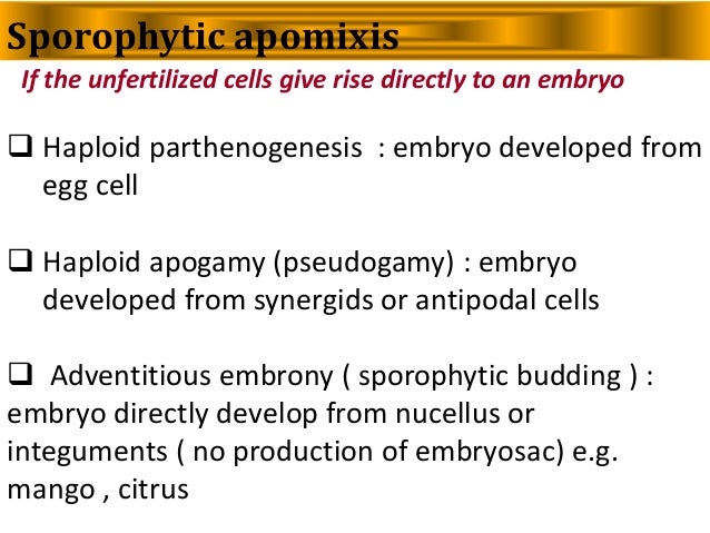 Apomixis in plants