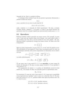 chamado de bra. Esta é a notação de Dirac.
A vantagem desta notação é que ela nos permite representar diretamente o
produto escalar dos vetores
(b; a)
como o produto de um vetor jai pelo dual de hbj
(b; a) hbj jai hbj ai
onde o símbolo h:j :i é chamado de braket (parênteses). Ou seja, a notação
de Dirac divide o símbolo (:; :) em paren j) e teses (j que juntos formam um
parênteses (esta foi a notação original que posteriormente mudou para h:j e j:i)
9.5 Operadores
Podemos também realizar operações nos nossos vetores. Por exemplo, se nosso
vetor é uma seta que aponta numa certa direção, você pode querer saber o
que acontece com esta seta se ela for girada de um certo ângulo. Ou seja,
queremos de…nir a operação de rotação nos nossos vetores. Se nosso vetor tem
componentes
jvi =
v1
v2
Quais as novas componentes, ou novo vetor jv0
i, se este vetor for girado no sen-
tido anti-horário, de um ângulo . Como vimos na primeira parte do curso, na
representação matricial, estas novas componentes se relacionam com as anteri-
ores por
jv0
i =
v0
1
v0
2
=
cos sin
sin cos
v1
v2
;
ou ainda simbolicamente
jv0
i = ^R jvi ; ^R =
cos sin
sin cos
:
^R, que nosso caso é uma matriz 2 2, é um operador no nosso espaço de
vetores de dimensão 2. Ou seja, no nosso espaço vetorial 2 0 um operador é
uma matriz 2 2.
As componentes de matriz n n podem ser identi…cadas através de dois
índices Rij. Na notação de Dirac um operador pode ser representado como
Rij jii hjj
Se encararmos jii como um vetor (uma matriz 2 0), vemos que a quantidade
acima representa um “produto”entre o vetor jii e o dual do vetor jii. Ou seja,
para dois vetores jai ; jbi 2 V , podemos de…nir dois tipos de produtos entre um
e o dual do outro
haj jbi haj bi (produto interno)
jbi haj jbi haj (produto externo)
77
 