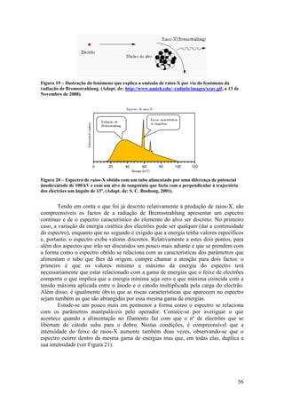 Figura 19 – Ilustração do fenómeno que explica a emissão de raios-X por via do fenómeno da
radiação de Bremsstrahlung. (Adapt. de: http://www.umich.edu/~radinfo/images/xray.gif, a 13 de
Novembro de 2008).




Figura 20 – Espectro de raios-X obtido com um tubo alimentado por uma diferença de potencial
ânodo/cátodo de 100 kV e com um alvo de tungsténio que fazia com a perpendicular à trajectória
dos electrões um ângulo de 13º. (Adapt. de: S. C. Bushong, 2001).


        Tendo em conta o que foi já descrito relativamente à produção de raios-X, são
compreensíveis os factos de a radiação de Bremsstrahlung apresentar um espectro
contínuo e de o espectro característico do elemento do alvo ser discreto. No primeiro
caso, a variação da energia cinética dos electrões pode ser qualquer (daí a continuidade
do espectro), enquanto que no segundo é exigido que a energia tenha valores específicos
e, portanto, o espectro exiba valores discretos. Relativamente a estes dois pontos, para
além dos aspectos que irão ser discutidos um pouco mais adiante e que se prendem com
a forma como o espectro obtido se relaciona com as características dos parâmetros que
alimentam o tubo que lhes dá origem, cumpre chamar a atenção para dois factos: o
primeiro é que os valores mínimo e máximo da energia do espectro terá
necessariamente que estar relacionado com a gama de energias que o feixe de electrões
comporta o que implica que a energia mínima seja zero e que máxima coincida com a
tensão máxima aplicada entre o ânodo e o cátodo multiplicada pela carga do electrão.
Além disso, é igualmente óbvio que as riscas características que aparecem no espectro
sejam também as que são abrangidas por essa mesma gama de energias.
        Estude-se um pouco mais em pormenor a forma como o espectro se relaciona
com os parâmetros manipuláveis pelo operador. Comece-se por averiguar o que
acontece quando a alimentação no filamento faz com que o nº de electrões que se
libertam do cátodo suba para o dobro. Nestas condições, é compreensível que a
intensidade do feixe de raios-X aumente também duas vezes, observando-se que o
espectro ocorre dentro da mesma gama de energias mas que, em todas elas, duplica a
sua intensidade (ver Figura 21).




                                                                                             56
 