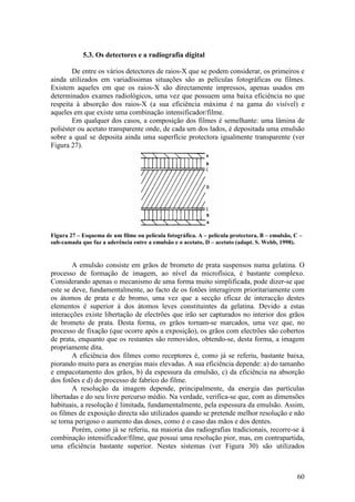 5.3. Os detectores e a radiografia digital

        De entre os vários detectores de raios-X que se podem considerar, os primeiros e
ainda utilizados em variadíssimas situações são as películas fotográficas ou filmes.
Existem aqueles em que os raios-X são directamente impressos, apenas usados em
determinados exames radiológicos, uma vez que possuem uma baixa eficiência no que
respeita à absorção dos raios-X (a sua eficiência máxima é na gama do visível) e
aqueles em que existe uma combinação intensificador/filme.
        Em qualquer dos casos, a composição dos filmes é semelhante: uma lâmina de
poliéster ou acetato transparente onde, de cada um dos lados, é depositada uma emulsão
sobre a qual se deposita ainda uma superfície protectora igualmente transparente (ver
Figura 27).




Figura 27 – Esquema de um filme ou película fotográfica. A – película protectora, B – emulsão, C –
sub-camada que faz a aderência entre a emulsão e o acetato, D – acetato (adapt. S. Webb, 1998).


        A emulsão consiste em grãos de brometo de prata suspensos numa gelatina. O
processo de formação de imagem, ao nível da microfísica, é bastante complexo.
Considerando apenas o mecanismo de uma forma muito simplificada, pode dizer-se que
este se deve, fundamentalmente, ao facto de os fotões interagirem prioritariamente com
os átomos de prata e de bromo, uma vez que a secção eficaz de interacção destes
elementos é superior à dos átomos leves constituintes da gelatina. Devido a estas
interacções existe libertação de electrões que irão ser capturados no interior dos grãos
de brometo de prata. Desta forma, os grãos tornam-se marcados, uma vez que, no
processo de fixação (que ocorre após a exposição), os grãos com electrões são cobertos
de prata, enquanto que os restantes são removidos, obtendo-se, desta forma, a imagem
propriamente dita.
        A eficiência dos filmes como receptores é, como já se referiu, bastante baixa,
piorando muito para as energias mais elevadas. A sua eficiência depende: a) do tamanho
e empacotamento dos grãos, b) da espessura da emulsão, c) da eficiência na absorção
dos fotões e d) do processo de fabrico do filme.
        A resolução da imagem depende, principalmente, da energia das partículas
libertadas e do seu livre percurso médio. Na verdade, verifica-se que, com as dimensões
habituais, a resolução é limitada, fundamentalmente, pela espessura da emulsão. Assim,
os filmes de exposição directa são utilizados quando se pretende melhor resolução e não
se torna perigoso o aumento das doses, como é o caso das mãos e dos dentes.
        Porém, como já se referiu, na maioria das radiografias tradicionais, recorre-se à
combinação intensificador/filme, que possui uma resolução pior, mas, em contrapartida,
uma eficiência bastante superior. Nestes sistemas (ver Figura 30) são utilizados



                                                                                                60
 