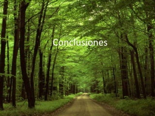 Conclusiones

 