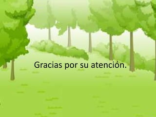 Gracias por su atención.

 
