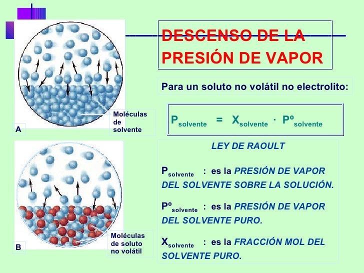 Apooley Disoluciones Y Propiedades Coligativas