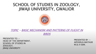 SCHOOL OF STUDIES IN ZOOLOGY,
JIWAJI UNIVERSITY, GWALIOR
TOPIC - BASIC MECHANISM AND PATTERNS OF FLIGHT IN
BIRDS
PRESENTED TO :-
HEAD OF THE DEPARTMENT,
SCHOOL OF STUDIES IN
ZOOLOGY,
JIWAJI UNIVERSITY
PRESENTED BY :-
APOORVA MATHUR
M.Sc II SEM.
 