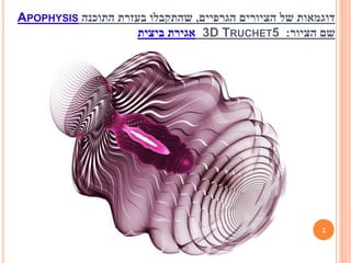 (מצגת) טכנולוגיה לציור פרקטלים בעזרת התוכנה apophysis | PPTX
