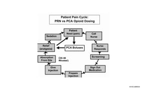 Acute Postoperative Pain Management | PDF