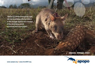 ‘Reviled as vermin through the ages,
rats are becoming unlikely soldiers
in the struggle against two scourges
of the developing world:
landmines and tuberculosis’.




                                       ANNUAL REPORT 2009



www.apopo.org & www.heroRAT.org
 