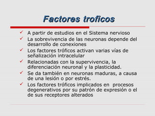 Factores troficos
 A partir de estudios en el Sistema nervioso
 La sobrevivencia de las neuronas depende del
  desarrollo de conexiones
 Los factores tróficos activan varias vías de
  señalización intracelular
 Relacionadas con la supervivencia, la
  diferenciación neuronal y la plasticidad.
 Se da también en neuronas maduras, a causa
  de una lesión o por estrés.
 Los factores tróficos implicados en procesos
  degenerativos por su patrón de expresión o el
  de sus receptores alterados
 