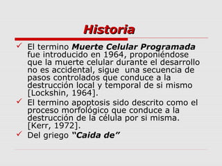 Historia
 El termino Muerte Celular Programada
  fue introducido en 1964, proponiéndose
  que la muerte celular durante el desarrollo
  no es accidental, sigue una secuencia de
  pasos controlados que conduce a la
  destrucción local y temporal de si mismo
  [Lockshin, 1964].
 El termino apoptosis sido descrito como el
  proceso morfológico que conduce a la
  destrucción de la célula por si misma.
  [Kerr, 1972].
 Del griego “Caida de”
 