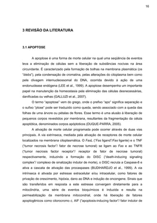 16

3 REVISÃO DA LITERATURA

3.1 APOPTOSE

A apoptose é uma forma de morte celular na qual uma seqüência de eventos
leva a eliminação de células sem a liberação de substâncias nocivas na área
circundante. É caracterizado pela formação de bolhas na membrana plasmática (os
“blebs”), pela condensação de cromatina, pelas alterações do citoplasma bem como
pela clivagem internucleossomal do DNA, ocorrida devido à ação de uma
endonuclease endógena (LEE et al., 1999). A apoptose desempenha um importante
papel na manutenção da homeostasia pela eliminação das células desnecessárias,
danificadas ou velhas (GALLUZI et al., 2007).
O termo “apoptose” vem do grego, onde o prefixo “apo” significa separação e
o sufixo “ptose” pode ser traduzido como queda, sendo associado com a queda das
folhas de uma árvore ou pétalas de flores. Esse termo é uma alusão à liberação de
pequenos corpos revestidos por membrana, resultantes da fragmentação da célula
apoptótica, denominados corpos apóptoticos (DUQUE-PARRA, 2005).
A ativação de morte celular programada pode ocorrer através de duas vias
principais. A via extrínseca, mediada pela ativação de receptores de morte celular
localizados na membrana citoplasmática. O FasL (“Fas ligand”/Fas ligante) e o TNF
(“tumor necrosis factor”/ fator de necrose tumoral) se ligam ao Fas e ao TNFR
(“tumor necrosis factor receptor”/

receptor de fator de necrose tumoral)

respectivamente, induzindo a formação do DISC (“death-inducing signaling
complex”/ complexo de sinalização indutor de morte), o DISC recruta a Caspase-8 e
ativa a cascata de ativação das procaspases (BUDIHARDJO et al., 1999). A via
intrínseca é ativada por estresse extracelular e/ou intracelular, como fatores de
privação de crescimento, hipóxia, dano ao DNA e indução de oncongene. Sinais que
são transferidos em resposta a este estresse convergem diretamente para a
mitocôndria, uma série de eventos bioquímicos é induzida e resulta na
permeabilização da membrana mitocondrial, onde há liberação de fatores
apoptogênicos como citorocromo c, AIF (“apoptosis-inducing factor”/ fator indutor de

 