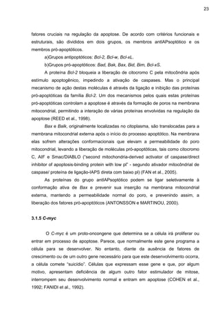 23

fatores cruciais na regulação da apoptose. De acordo com critérios funcionais e
estruturais, são divididos em dois grupos, os membros antIAPsoptótico e os
membros pró-apoptóticos.
a)Grupos antipoptóticos: Bcl-2, Bcl-w, Bcl-xL.
b)Grupos pró-apoptóticos: Bad, Bak, Bax, Bid, Bim, Bcl-xS.
A proteína Bcl-2 bloqueia a liberação de citocromo C pela mitocôndria após
estímulo apoptogênico, impedindo a ativação de caspases. Mas o principal
mecanismo de ação destas moléculas é através da ligação e inibição das proteínas
pró-apoptóticas da família Bcl-2. Um dos mecanismos pelos quais estas proteínas
pró-apoptóticas controlam a apoptose é através da formação de poros na membrana
mitocondrial, permitindo a interação de várias proteínas envolvidas na regulação da
apoptose (REED et al., 1998).
Bax e Balk, originalmente localizadas no citoplasma, são translocadas para a
membrana mitocondrial externa após o início do processo apoptótico. Na membrana
elas sofrem alterações conformacionais que elevam a permeabilidade do poro
mitocondrial, levando a liberação de moléculas pró-apoptóticas, tais como citocromo
C, AIF e Smac/DIABLO (“second mitochondria-derived activator of caspase/direct
inhibitor of apoptosis-binding protein with low pl” - segundo ativador mitocôndrial de
caspase/ proteína de ligação-IAPS direta com baixo pl) (FAN et al., 2005).
As proteínas do grupo antIAPsoptótico podem se ligar seletivamente à
conformação ativa de Bax e prevenir sua inserção na membrana mitocondrial
externa, mantendo a permeabilidade normal do poro, e prevenindo assim, a
liberação dos fatores pró-apoptóticos (ANTONSSON e MARTINOU, 2000).

3.1.5 C-myc

O C-myc é um proto-oncongene que determina se a célula irá proliferar ou
entrar em processo de apoptose. Parece, que normalmente este gene programa a
célula para se desenvolver. No entanto, diante da ausência de fatores de
crescimento ou de um outro gene necessário para que este desenvolvimento ocorra,
a célula comete “suicídio”. Células que expressam esse gene e que, por algum
motivo, apresentam deficiência de algum outro fator estimulador de mitose,
interrompem seu desenvolvimento normal e entram em apoptose (COHEN et al.,
1992; FANIDI et al., 1992).

 
