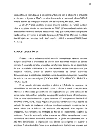 26

essa proteína é liberada para o citoplasma juntamente com o citocromo c, enquanto
o citocromo c liga-se a APAF-1 e ativa diretamente a caspase-9, Smac/DIABLO
remove as IAPs de sua ligação inibitória com as caspase (CHAI et al., 2000).
A c-FLIP (“FLICE-inhibitory protein”/ proteína inibidora de FLICE) também
inibe a apoptose através da sua ligação ao FADD (“Fas-associated protein with
death domain”/ domínio de morte associado ao Fas), que é uma proteína adaptadora
ligado ao Fas, prevenindo a ativação da caspase-8/Flice. Cinco diferentes membros
das IAPs já foram descritos: NAIP, XIAP, c-IAP-1, c-IAP-2 e suvivina (FERREIRA et
al., 2002).

3.2 APOPTOSE E CÂNCER

Embora o câncer exiba características muito heterogêneas, todos os tumores
malignos adquiriram a propriedade de crescer além dos limites impostos às células
normais. A expansão clonal de uma célula transformada depende de um descontrole
de sua capacidade proliferativa e de uma crescente incapacidade de morrer por
apoptose. Portanto, apesar de enorme variabilidade do câncer, evidências
demonstram que a resistência a apoptose é uma das características mais marcantes
da maioria dos tumores malignos (OKADA e MAK, 2004; GRIVICICH, REGNER e
ROCHA, 2007).
É de grande interesse científico e clínico a influência da apoptose na
sensibilidade de tumores ao tratamento contra o câncer, a maior razão para este
interesse é influenciada positivamente ou negativamente por uma variedade de
genes muitos deles sofrem mutações ou não estão funcionantes no câncer humano.
Entre os mais importantes estão o gene supressor p53 e os genes da família Bcl-2
(BROWN e WOUTERS, 1999). Algumas mutações permitem que célula resista ao
estímulo de morte, as células em um tumor em desenvolvimento precisam evitar a
morte celular que é induzida não somente pela expressão não regulada de
oncogenes, mas também pela limitação de fatores de crescimento, oxigênio ou
nutrientes. Somente superando estas ameaças as células cancerígenas podem
sobreviver e se tornarem invasivas e metastáticas. Os genes anti-apoptóticos Bcl-2 e
p53 têm demonstrado a importância das células cancerígenas de superar a
apoptose. A ativação da Bcl-2 pode levar a sobrevivência dos linfomas, uma vez que

 