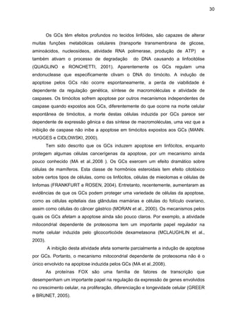 30

Os GCs têm efeitos profundos no tecidos linfóides, são capazes de alterar
muitas funções metabólicas celulares (transporte transmembrana de glicose,
aminoácidos, nucleosídeos, atividade RNA polimerase, produção de ATP)
também ativam o processo de degradação

e

do DNA causando a linfocitólise

(QUAGLINO e RONCHETTI, 2001). Aparentemente os GCs regulam uma
endonuclease que especificamente clivam o DNA do timócito. A indução de
apoptose pelos GCs não ocorre espontaneamente, a perda de viabilidade é
dependente da regulação genética, síntese de macromoléculas e atividade de
caspases. Os timócitos sofrem apoptose por outros mecanismos independentes de
caspase quando expostos aos GCs, diferentemente do que ocorre na morte celular
espontânea de timócitos, a morte destas células induzida por GCs parece ser
dependente de expressão gênica e das síntese de macromoléculas, uma vez que a
inibição de caspase não inibe a apoptose em timócitos expostos aos GCs (MANN.
HUGGES e CIDLOWSKI, 2000).
Tem sido descrito que os GCs induzem apoptose em linfócitos, enquanto
protegem algumas células cancerígenas da apoptose, por um mecanismo ainda
pouco conhecido (MA et al.,2008 ). Os GCs exercem um efeito dramático sobre
células de mamíferos. Esta classe de hormônios esteroidais tem efeito citotóxico
sobre certos tipos de células, como os linfócitos, células de mieolomas e células de
linfomas (FRANKFURT e ROSEN, 2004). Entretanto, recentemente, aumentaram as
evidências de que os GCs podem proteger uma variedade de células da apoptose,
como as células epiteliais das glândulas mamárias e células do folículo ovariano,
assim como células do câncer gástrico (MORAN et al., 2000). Os mecanismos pelos
quais os GCs afetam a apoptose ainda são pouco claros. Por exemplo, a atividade
mitocondrial dependente de proteosoma tem um importante papel regulador na
morte celular induzida pelo glicocorticóide dexametasona (MCLAUGHLIN et al.,
2003).
A inibição desta atividade afeta somente parcialmente a indução de apoptose
por GCs. Portanto, o mecanismo mitocondrial dependente de proteosoma não é o
único envolvido na apoptose induzida pelos GCs (MA et al.,2008).
As proteínas FOX são uma família de fatores de transcrição que
desempenham um importante papel na regulação da expressão de genes envolvidos
no crescimento celular, na proliferação, diferenciação e longevidade celular (GREER
e BRUNET, 2005).

 