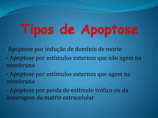 -Apoptose por indução de domínio de morte
- Apoptose por estímulos externos que não agem na
membrana
- Apoptose por estímulos externos que agem na
membrana
- Apoptose por perda do estímulo trófico ou da
ancoragem da matriz extracelular
 