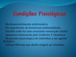 -- No desenvolvimento embrionário
-- No suprimento de hormonas estimulatórias
-- Tecidos onde há uma constante renovação celular
-- Apoptose estimulada pelo Linfócito T citotóxico
-- Respostas imunológica do indivíduo a um agente
biológico
-- Células fibrosas que darão origem ao cristalino
 