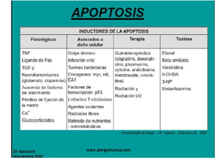 Apoptosis