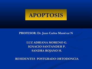 APOPTOSIS

 PROFESOR: Dr. Juan Carlos Munévar N


     LUZ ADRIANA MORENO G.
      IGNACIO SANTANDER P.
        SANDRA ROJANO H.

RESIDENTES POSTGRADO ORTODONCIA
 