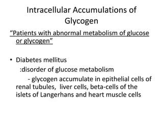 Intracellular Accumulations of
                 Glycogen
“Patients with abnormal metabolism of glucose
  or glycogen”

• Diabetes mellitus
    :disorder of glucose metabolism
       - glycogen accumulate in epithelial cells of
  renal tubules, liver cells, beta-cells of the
  islets of Langerhans and heart muscle cells
 