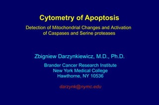 Cytometry of Apoptosis Zbigniew Darzynkiewicz, M.D., Ph.D.  Brander Cancer Research Institute New York Medical College Hawthorne, NY 10536 [email_address] Detection of Mitochondrial Changes and Activation of Caspases and Serine proteases 