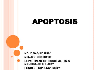 APOPTOSIS
MOHD SAQUIB KHAN
M.Sc 3rd SEMESTER
DEPARTMENT OF BIOCHEMISTRY &
MOLECULAR BIOLOGY
PONDICHERRY UNIVERSITY
 