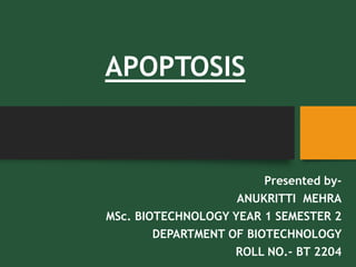 APOPTOSIS
Presented by-
ANUKRITTI MEHRA
MSc. BIOTECHNOLOGY YEAR 1 SEMESTER 2
DEPARTMENT OF BIOTECHNOLOGY
ROLL NO.- BT 2204
 