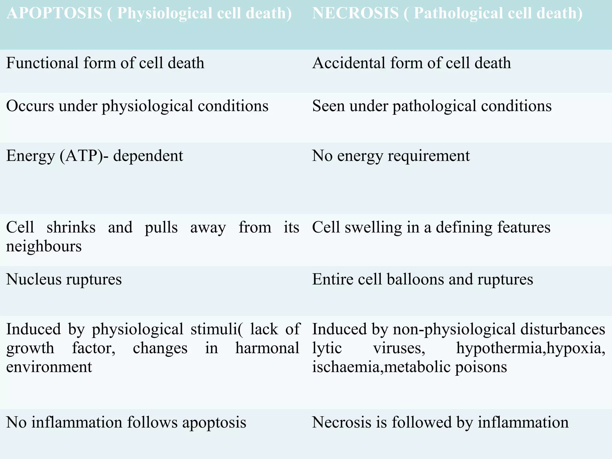 APOPTOSIS ( Physiological cell death) NECROSIS ( Pathological cell death)
Functional form of cell death Accidental form of cell death
Occurs under physiological conditions Seen under pathological conditions
Energy (ATP)- dependent No energy requirement
Cell shrinks and pulls away from its
neighbours
Cell swelling in a defining features
Nucleus ruptures Entire cell balloons and ruptures
Induced by physiological stimuli( lack of
growth factor, changes in harmonal
environment
Induced by non-physiological disturbances
lytic viruses, hypothermia,hypoxia,
ischaemia,metabolic poisons
No inflammation follows apoptosis Necrosis is followed by inflammation
 