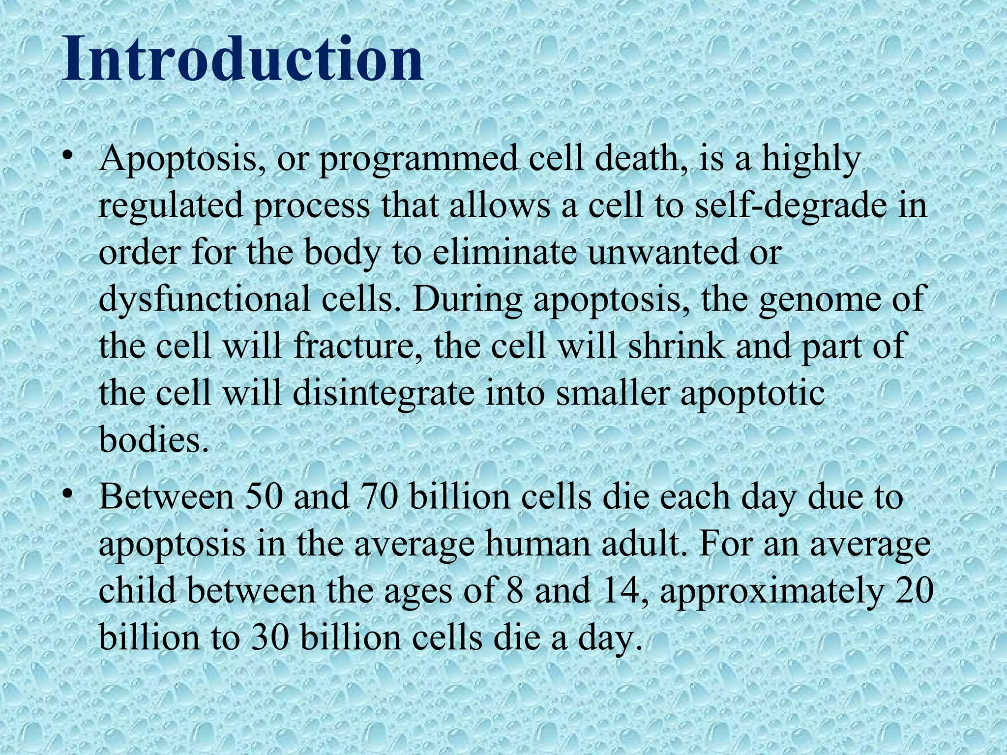 Introduction
• Apoptosis, or programmed cell death, is a highly
regulated process that allows a cell to self-degrade in
order for the body to eliminate unwanted or
dysfunctional cells. During apoptosis, the genome of
the cell will fracture, the cell will shrink and part of
the cell will disintegrate into smaller apoptotic
bodies.
• Between 50 and 70 billion cells die each day due to
apoptosis in the average human adult. For an average
child between the ages of 8 and 14, approximately 20
billion to 30 billion cells die a day.
 