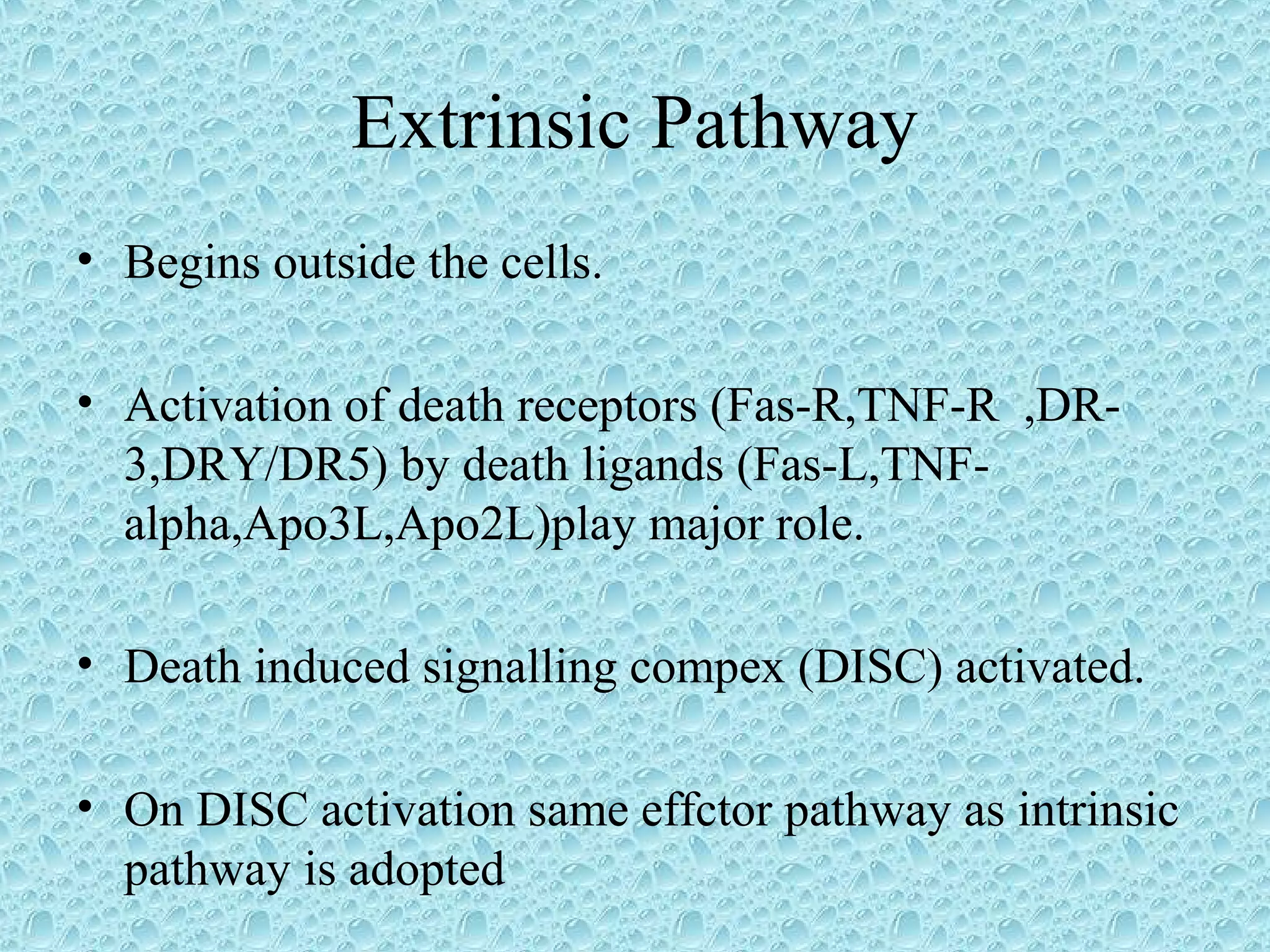 Extrinsic Pathway
• Begins outside the cells.
• Activation of death receptors (Fas-R,TNF-R ,DR-
3,DRY/DR5) by death ligands (Fas-L,TNF-
alpha,Apo3L,Apo2L)play major role.
• Death induced signalling compex (DISC) activated.
• On DISC activation same effctor pathway as intrinsic
pathway is adopted
 