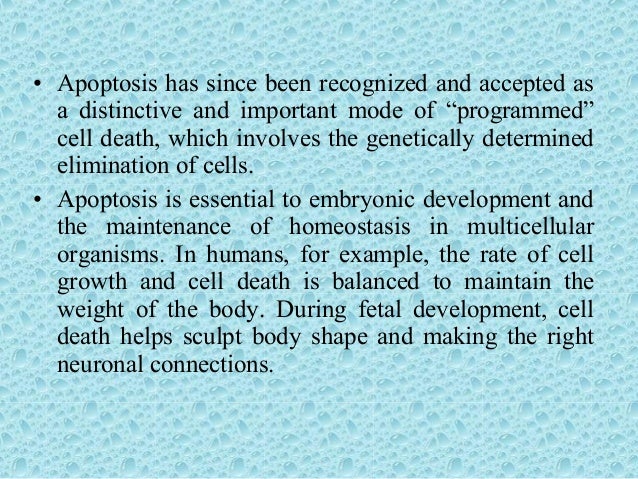 Apoptosis