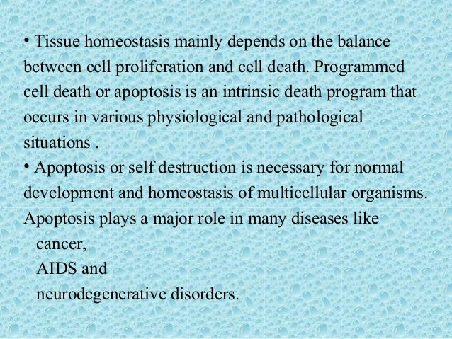 Apoptosis