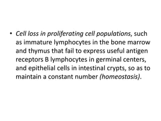 • Cell loss in proliferating cell populations, such
as immature lymphocytes in the bone marrow
and thymus that fail to express useful antigen
receptors B lymphocytes in germinal centers,
and epithelial cells in intestinal crypts, so as to
maintain a constant number (homeostasis).
 