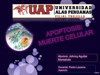 Alumno: Johnny Aguilar
Montalván
Docente: Pedro Lezama
Asencio
 