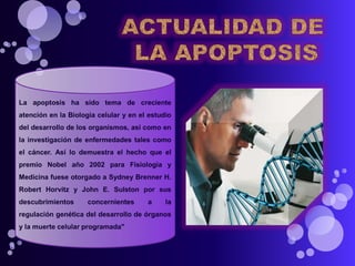 La apoptosis ha sido tema de creciente
atención en la Biología celular y en el estudio
del desarrollo de los organismos, así como en
la investigación de enfermedades tales como
el cáncer. Así lo demuestra el hecho que el
premio Nobel año 2002 para Fisiología y
Medicina fuese otorgado a Sydney Brenner H.
Robert Horvitz y John E. Sulston por sus
descubrimientos concernientes a la
regulación genética del desarrollo de órganos
y la muerte celular programada"
 