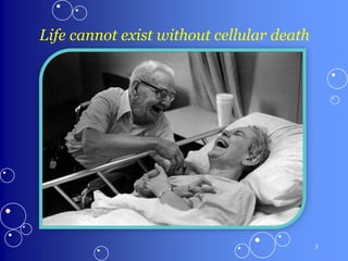 Life cannot exist without cellular death
3
 